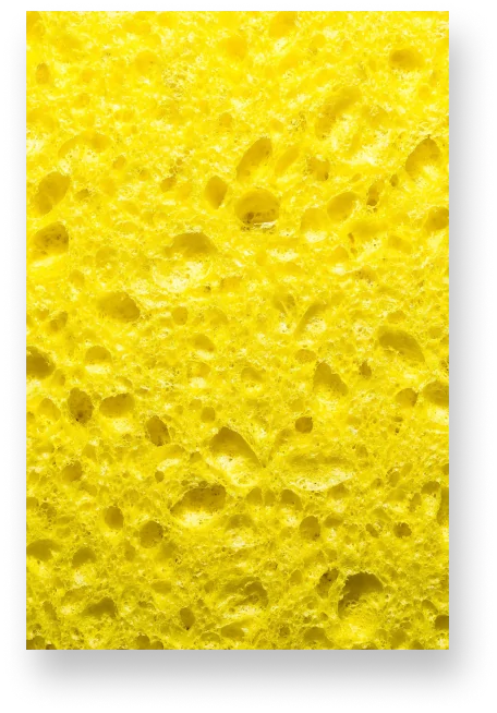 Yellow Sponges